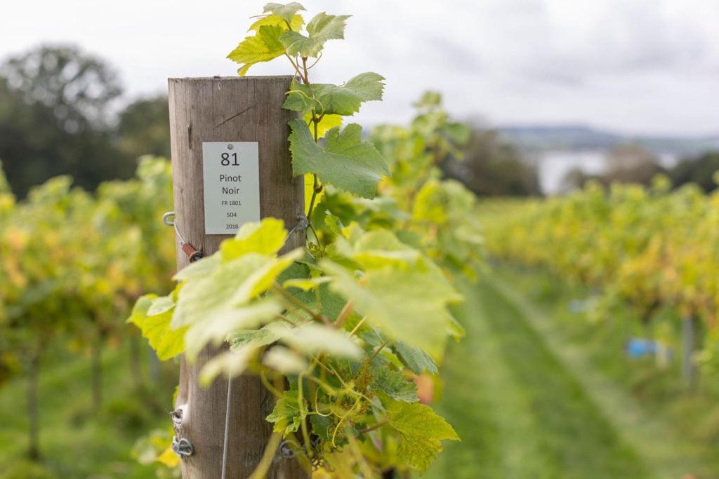 Lympstone Manor Hotel Restaurant & Vineyard - Relais & Chateaux Exmouth Kültér fotó