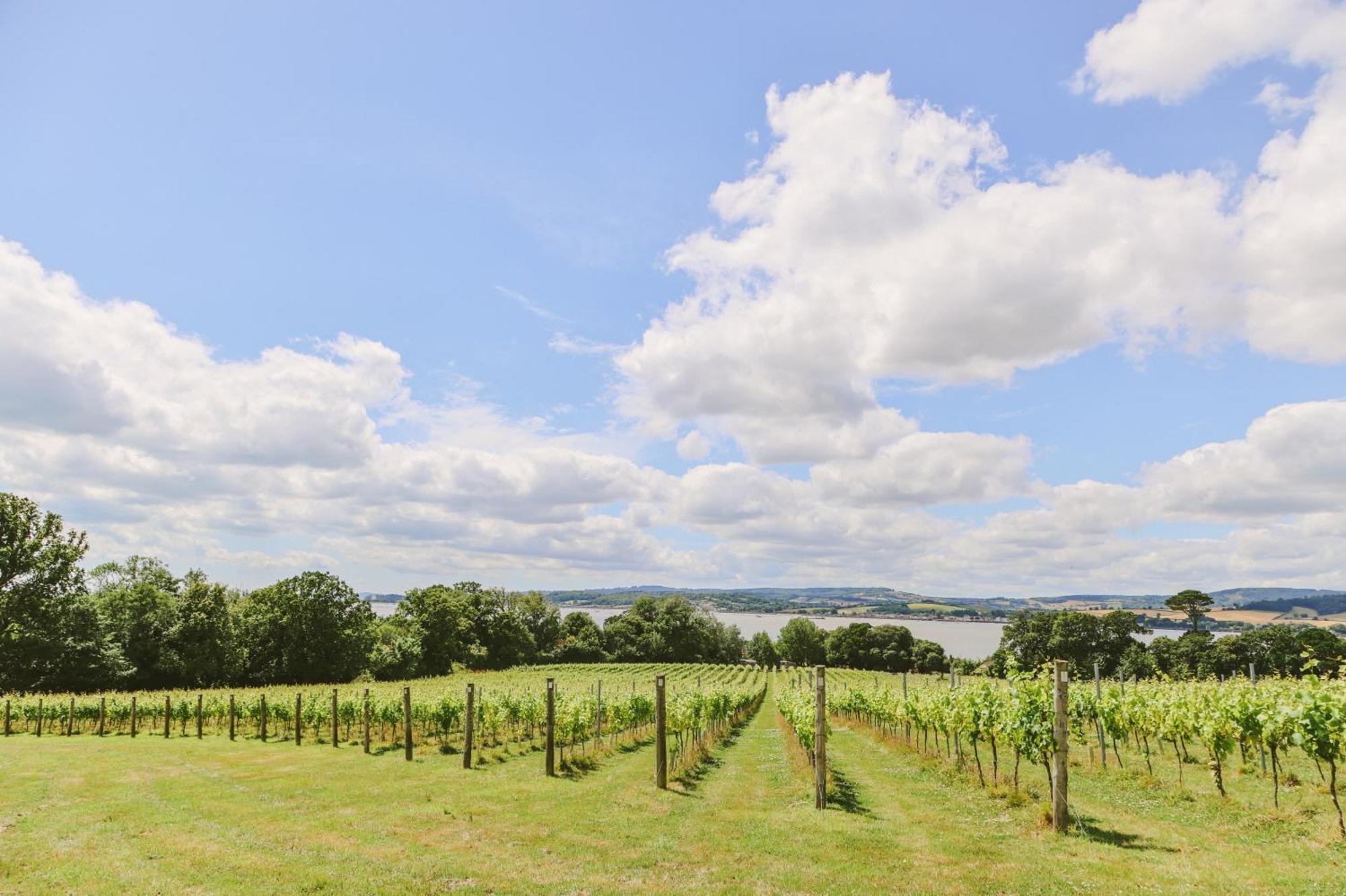 Lympstone Manor Hotel Restaurant & Vineyard - Relais & Chateaux Exmouth Kültér fotó