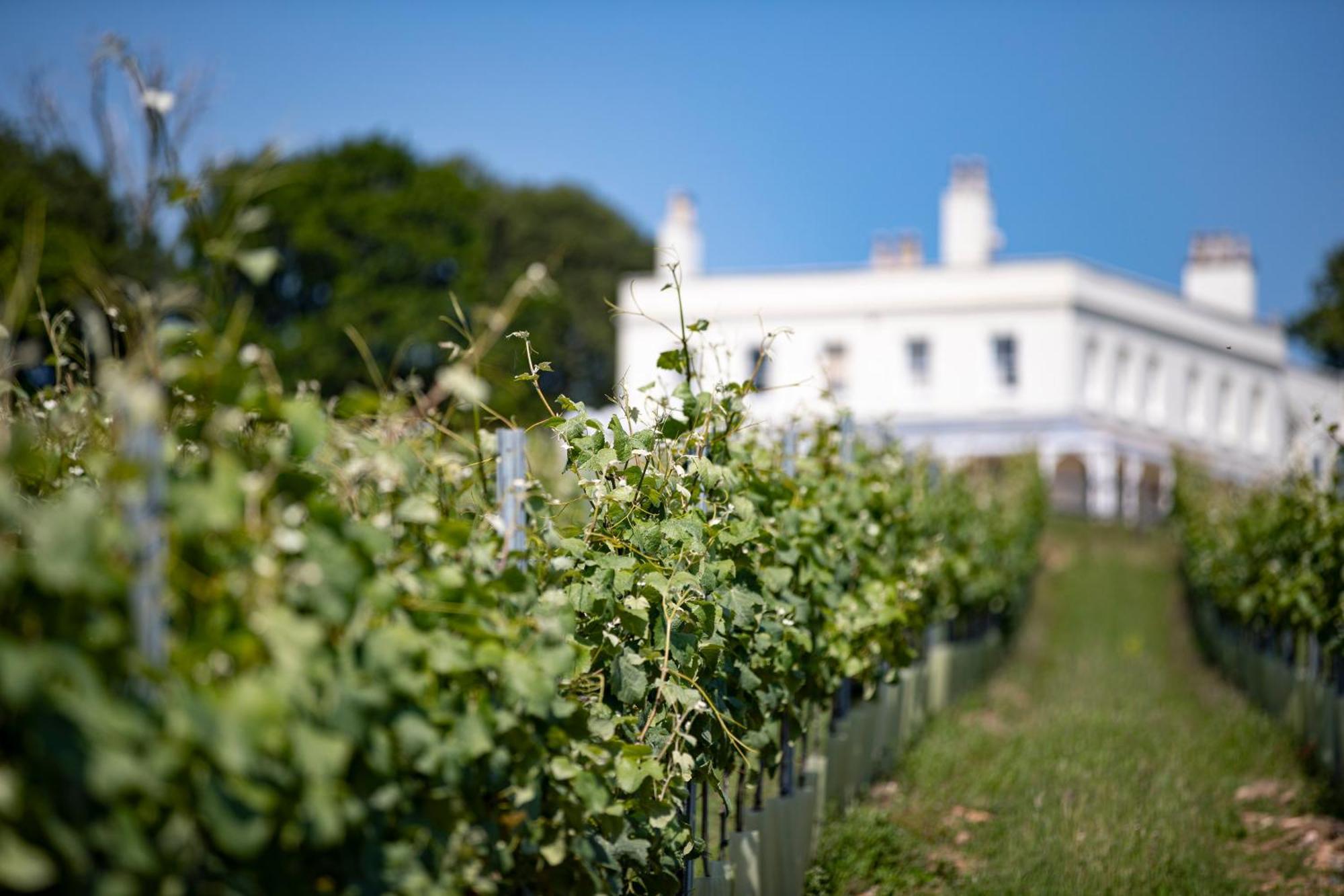 Lympstone Manor Hotel Restaurant & Vineyard - Relais & Chateaux Exmouth Kültér fotó