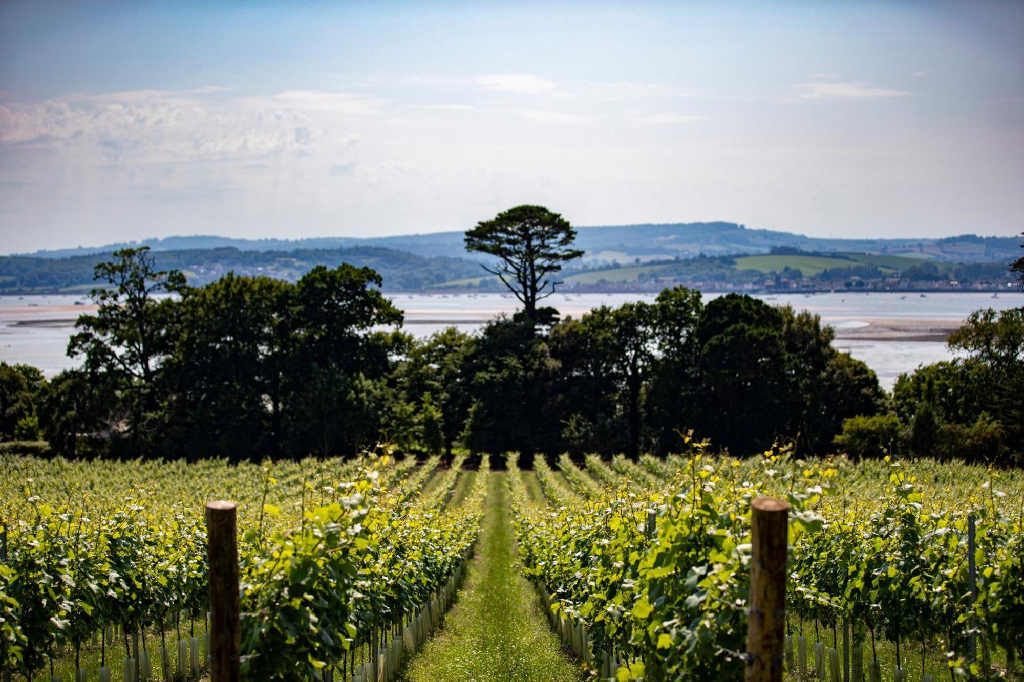 Lympstone Manor Hotel Restaurant & Vineyard - Relais & Chateaux Exmouth Kültér fotó