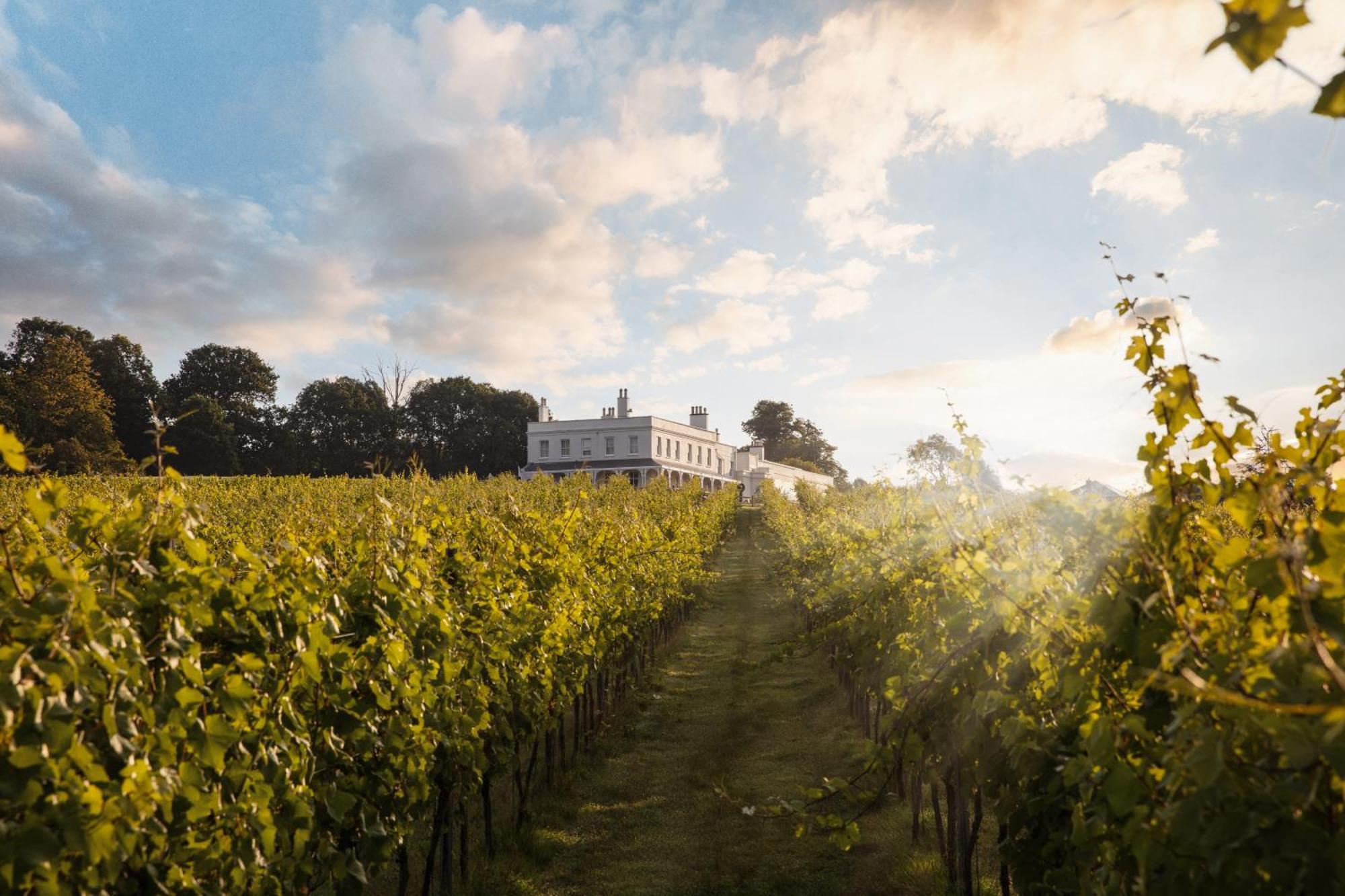 Lympstone Manor Hotel Restaurant & Vineyard - Relais & Chateaux Exmouth Kültér fotó